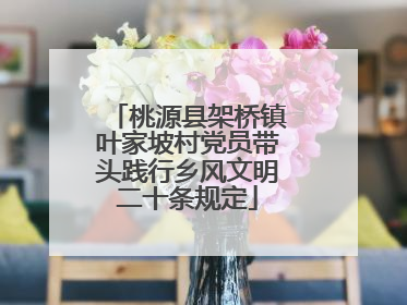 桃源县架桥镇叶家坡村党员带头践行乡风文明二十条规定
