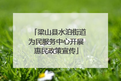 梁山县水泊街道为民服务中心开展惠民政策宣传
