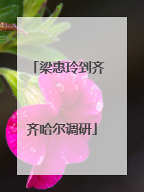 梁惠玲到齐齐哈尔调研