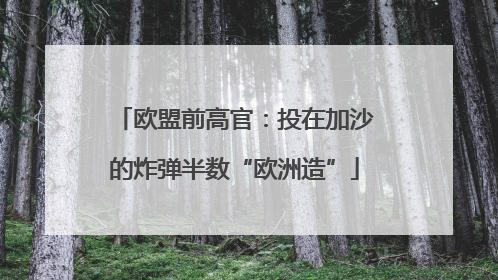 欧盟前高官：投在加沙的炸弹半数“欧洲造”