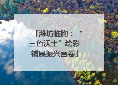 潍坊临朐：“三色沃土”绘彩铺展振兴画卷