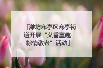 潍坊寒亭区寒亭街道开展“艾香童趣·粽情敬老”活动