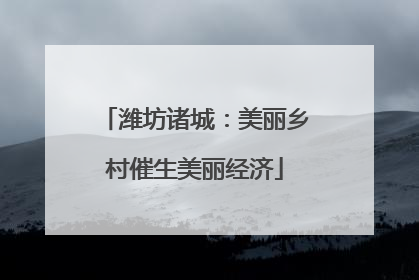 潍坊诸城：美丽乡村催生美丽经济