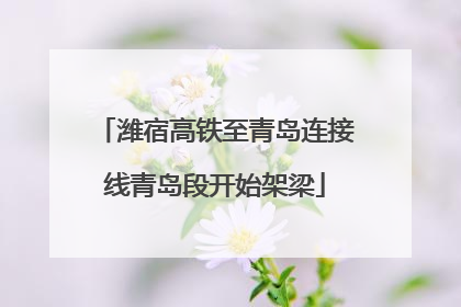 潍宿高铁至青岛连接线青岛段开始架梁