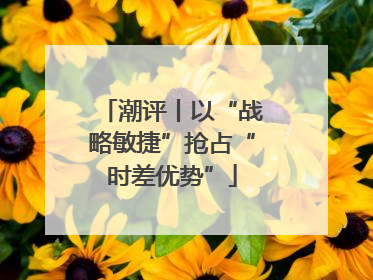 潮评丨以“战略敏捷”抢占“时差优势”
