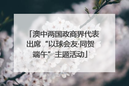 澳中两国政商界代表出席“以球会友·同贺端午”主题活动