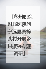 永州职院附属医院到宁远县桑梓头村开展乡村振兴专题调研