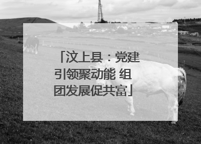 汶上县：党建引领聚动能 组团发展促共富