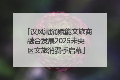 汉风潮涌赋能文旅商融合发展2025未央区文旅消费季启幕