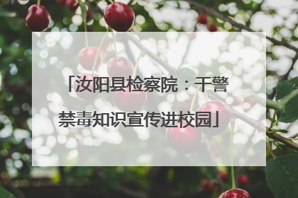 汝阳县检察院：干警禁毒知识宣传进校园