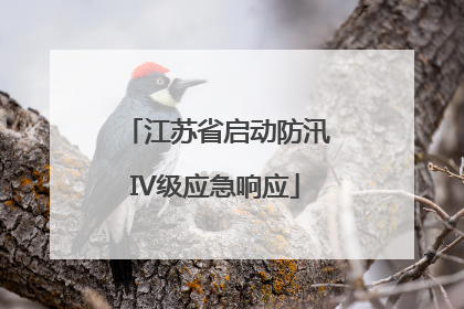江苏省启动防汛IV级应急响应