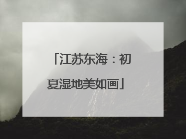 江苏东海：初夏湿地美如画