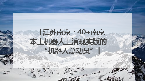 江苏南京：40+南京本土机器人上演现实版的“机器人总动员”