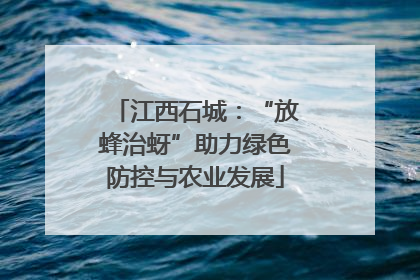 江西石城：“放蜂治蚜”助力绿色防控与农业发展