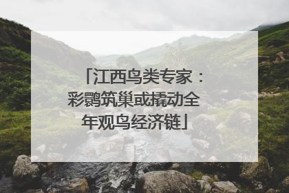 江西鸟类专家：彩鹮筑巢或撬动全年观鸟经济链