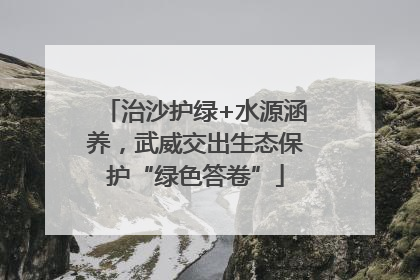 治沙护绿+水源涵养，武威交出生态保护“绿色答卷”