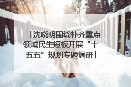 沈晓明围绕补齐重点领域民生短板开展“十五五”规划专题调研