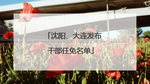 沈阳、大连发布干部任免名单