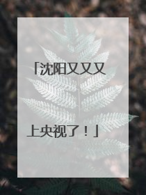沈阳又又又上央视了！
