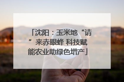 沈阳：玉米地“请”来赤眼蜂 科技赋能农业助绿色增产