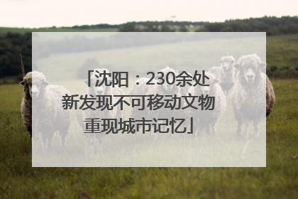 沈阳：230余处新发现不可移动文物重现城市记忆