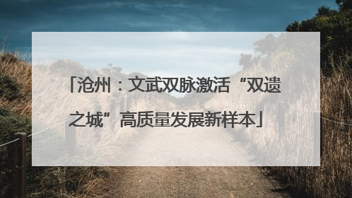 沧州：文武双脉激活“双遗之城”高质量发展新样本