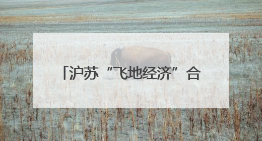沪苏“飞地经济”合作新模式：以重大项目牵引产业链升级