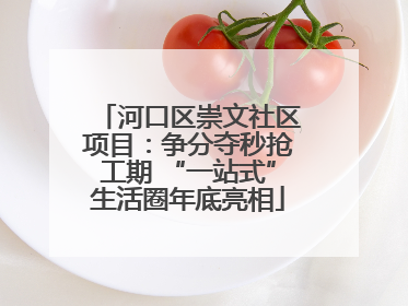 河口区崇文社区项目：争分夺秒抢工期 “一站式”生活圈年底亮相