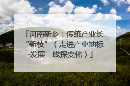 河南新乡：传统产业长“新枝”（走进产业地标·发展一线探变化）