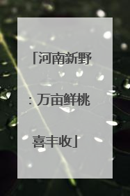 河南新野：万亩鲜桃喜丰收
