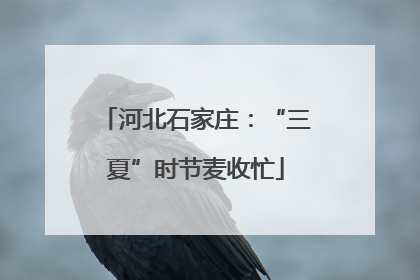 河北石家庄：“三夏”时节麦收忙