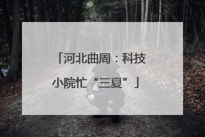 河北曲周：科技小院忙“三夏”
