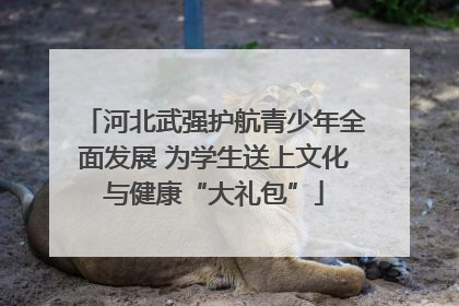 河北武强护航青少年全面发展 为学生送上文化与健康“大礼包”
