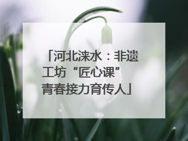河北涞水：非遗工坊“匠心课” 青春接力育传人