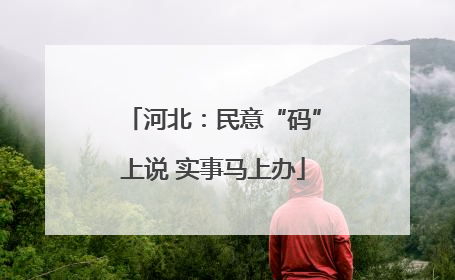 河北：民意“码”上说 实事马上办