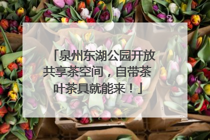 泉州东湖公园开放共享茶空间，自带茶叶茶具就能来！