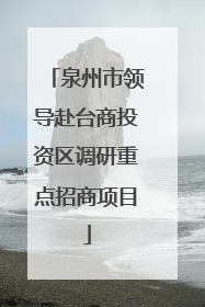 泉州市领导赴台商投资区调研重点招商项目