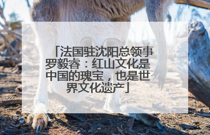 法国驻沈阳总领事罗毅睿：红山文化是中国的瑰宝，也是世界文化遗产