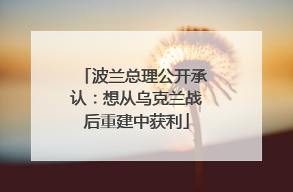 波兰总理公开承认：想从乌克兰战后重建中获利