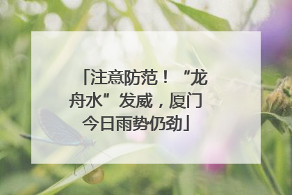 注意防范！“龙舟水”发威，厦门今日雨势仍劲