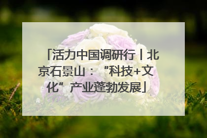 活力中国调研行丨北京石景山：“科技+文化”产业蓬勃发展