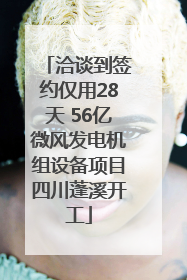 洽谈到签约仅用28天 56亿微风发电机组设备项目四川蓬溪开工