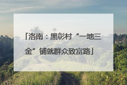 洛南：黑彰村“一地三金”铺就群众致富路