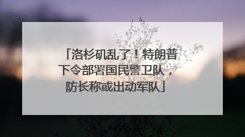 洛杉矶乱了！特朗普下令部署国民警卫队，防长称或出动军队