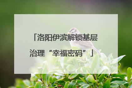 洛阳伊滨解锁基层治理“幸福密码”