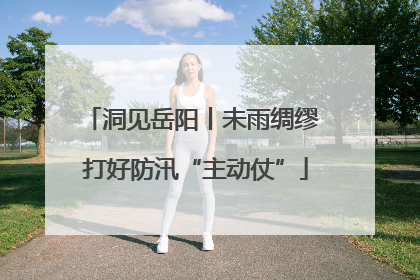 洞见岳阳丨未雨绸缪 打好防汛“主动仗”
