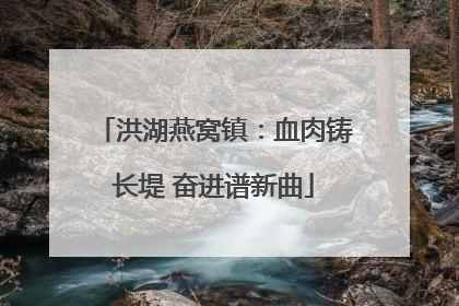 洪湖燕窝镇：血肉铸长堤 奋进谱新曲