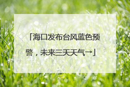 海口发布台风蓝色预警，未来三天天气→