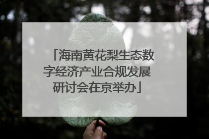 海南黄花梨生态数字经济产业合规发展研讨会在京举办