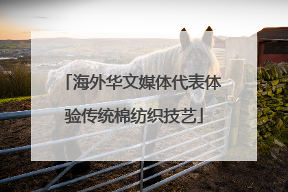 海外华文媒体代表体验传统棉纺织技艺